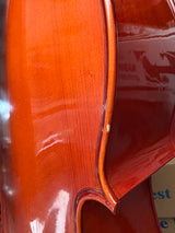 Stentor Cello Student 2 4/4