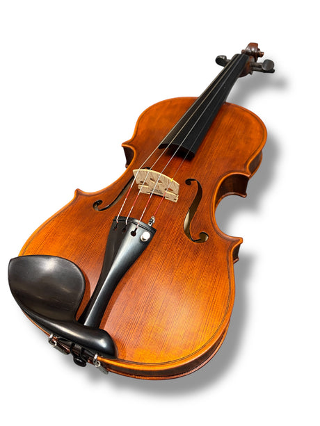 Stentor Violin Messina 4/4 Full Outfit with Brazilwood Bow