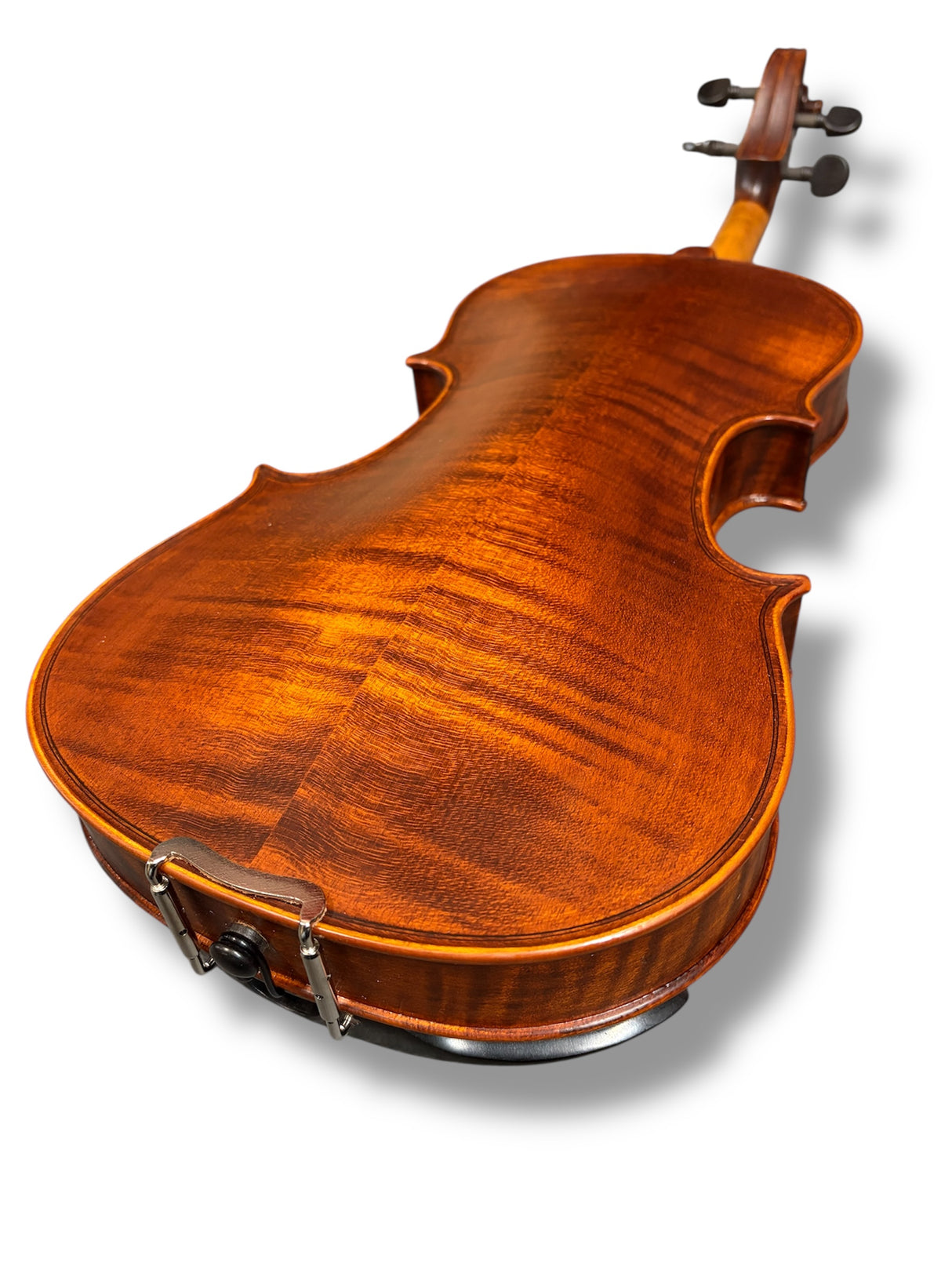 Stentor Violin Messina 4/4 Full Outfit with Brazilwood Bow