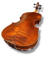 Stentor Violin Messina 4/4 Full Outfit with Brazilwood Bow