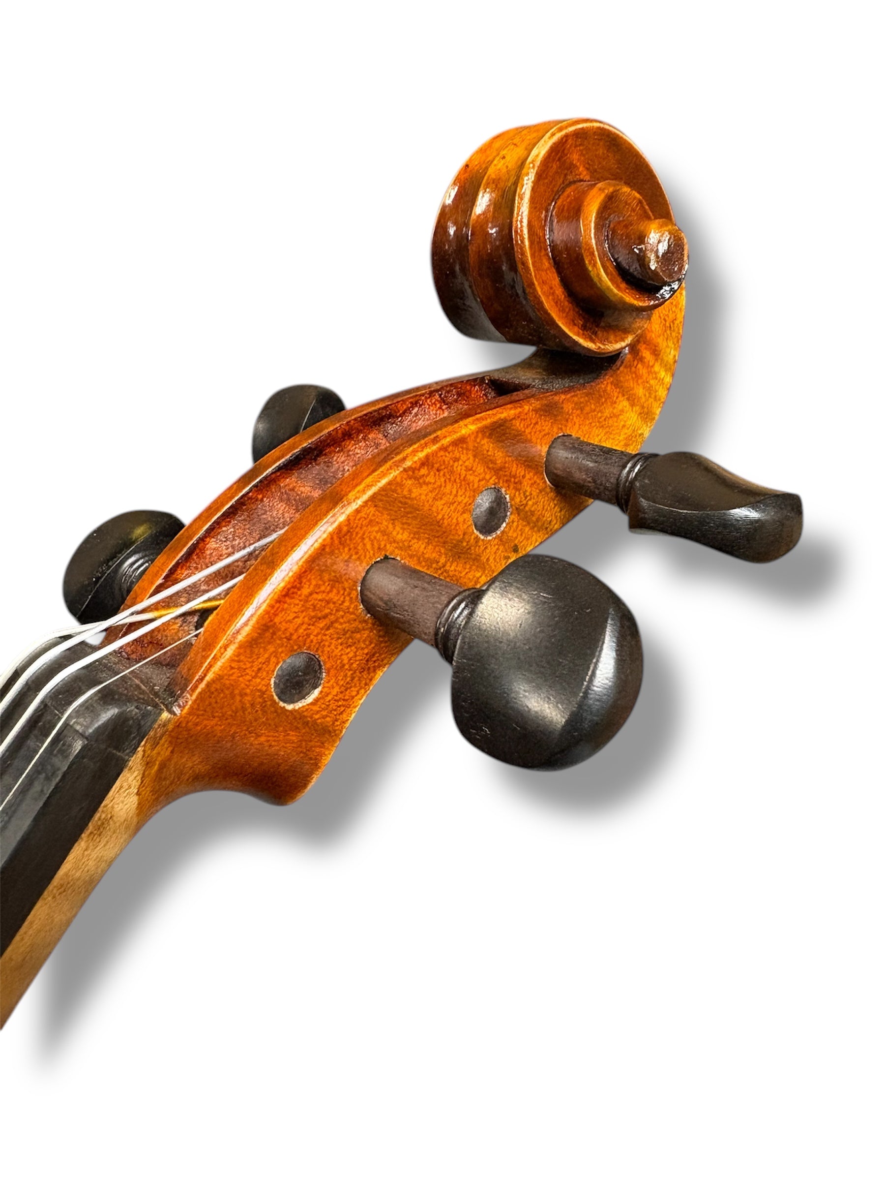 Eastman Strings Young Master Violin 4/4 Outfit – Reidys Home Of Music