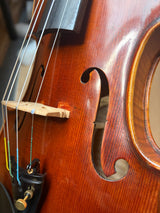 Eastman Strings Master Violin 4/4 Strad Model B stock