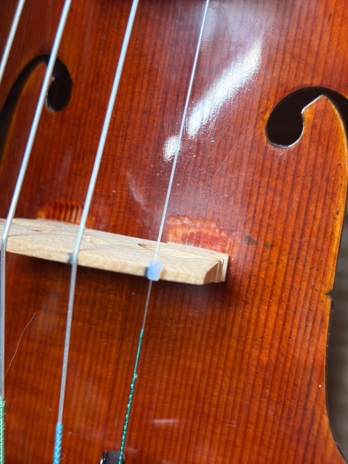Eastman Strings Master Violin 4/4 Strad Model B stock