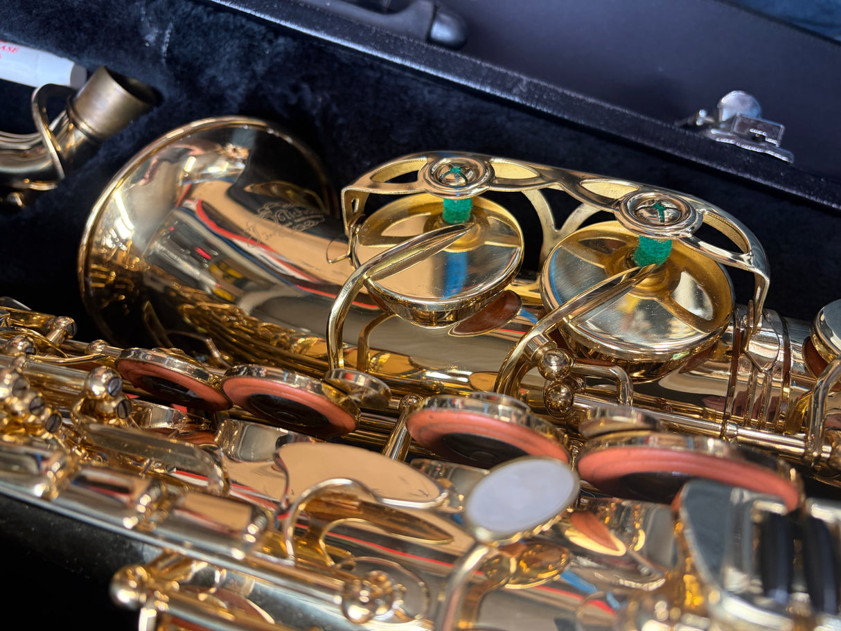 J Michael Alto Saxophone Outfit