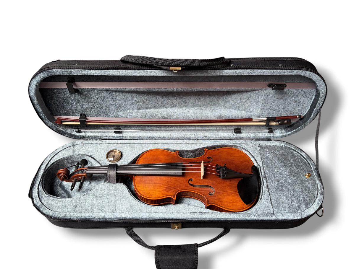 Stentor Violin Arcadia 4/4 Outfit + finetuners