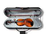 Stentor Violin Arcadia 4/4 Outfit + finetuners