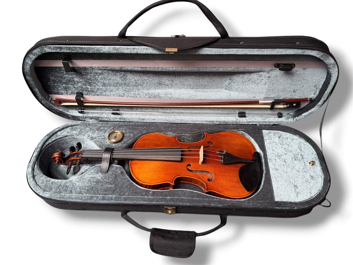 Stentor Violin Arcadia 4/4 Outfit