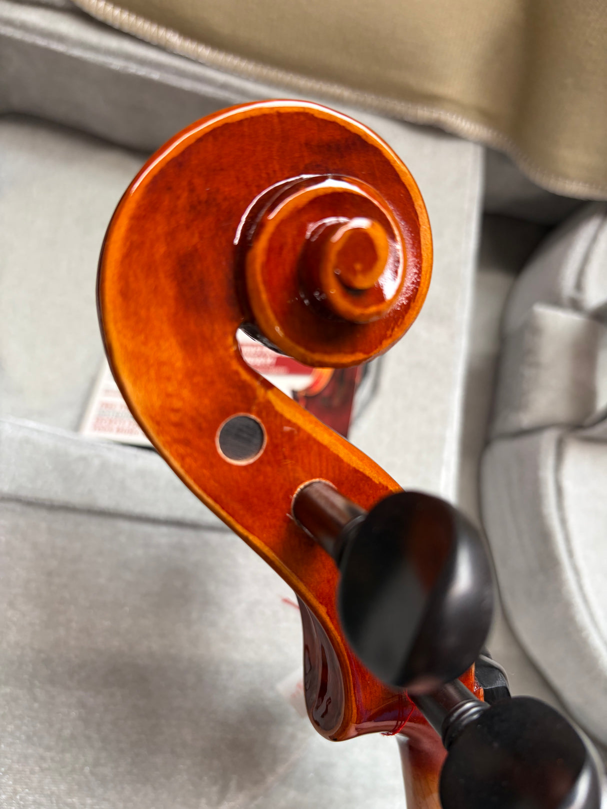 Hidersine Viola Piacenza 15.5 Outfit