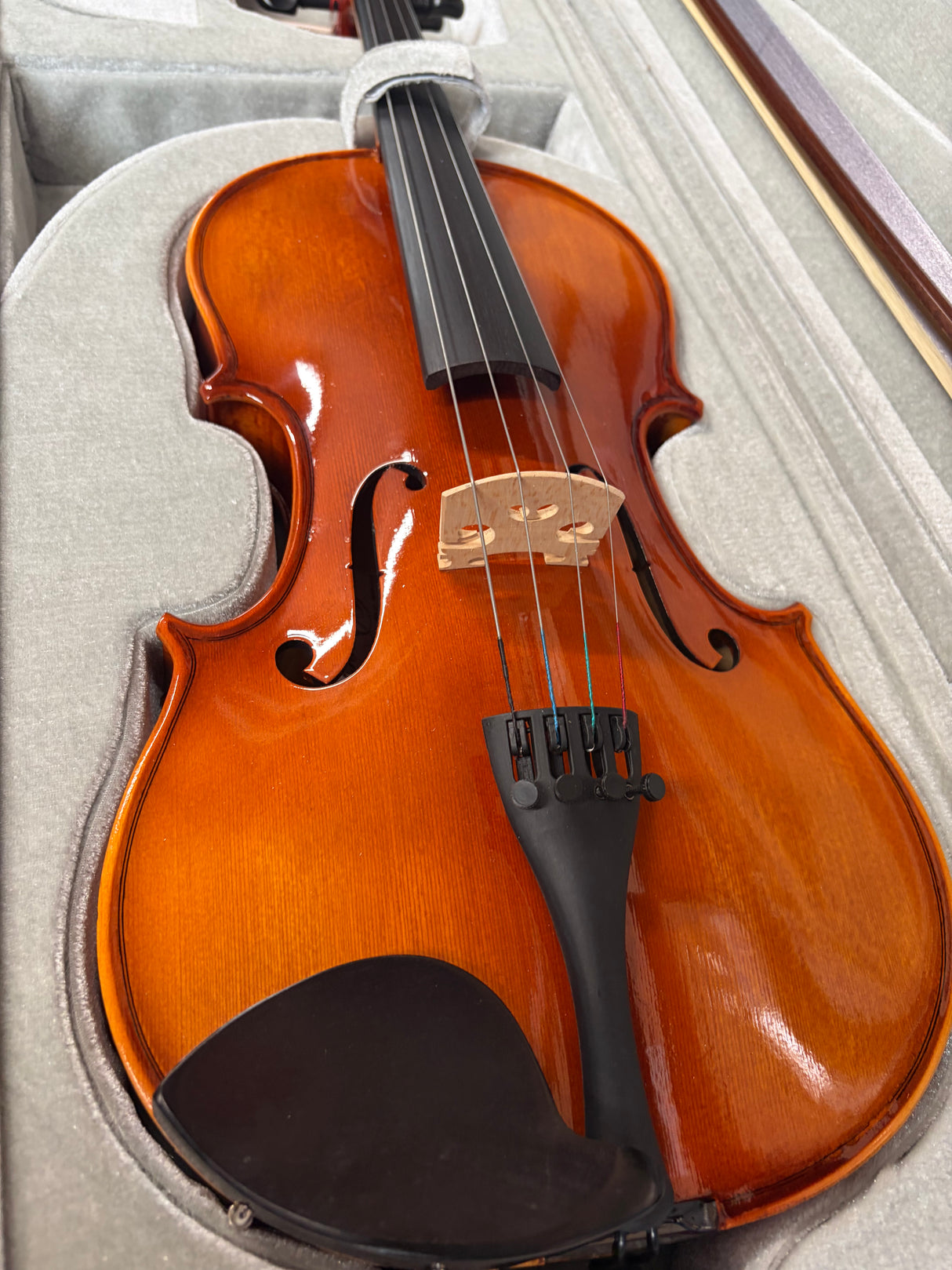 Hidersine Viola Piacenza 15.5 Outfit