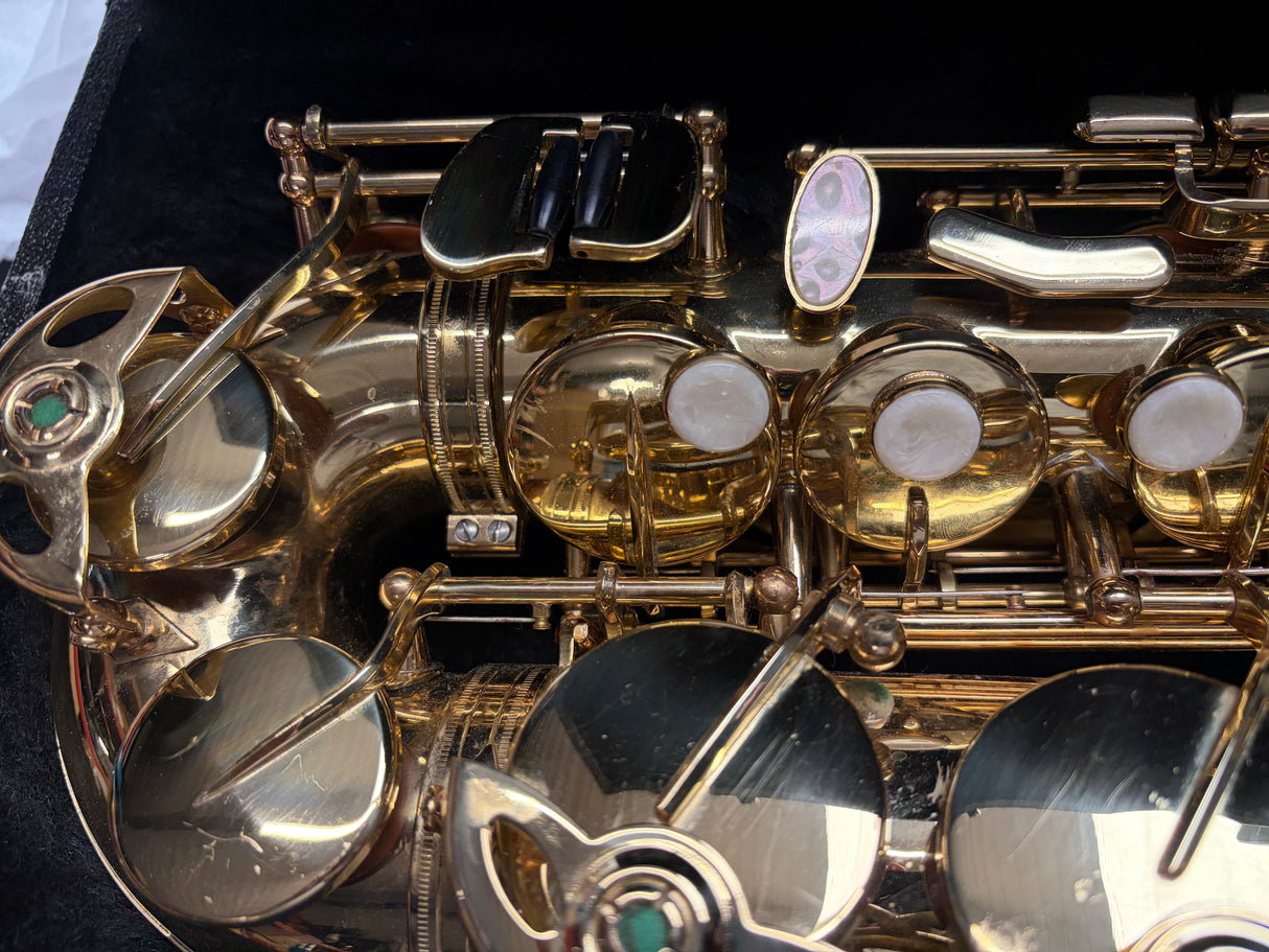Artemis Alto Saxophone Outfit