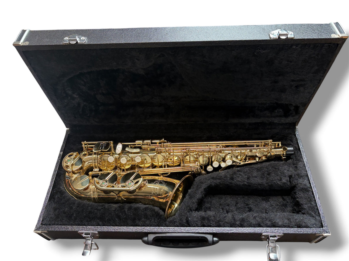 Artemis Alto Saxophone Outfit