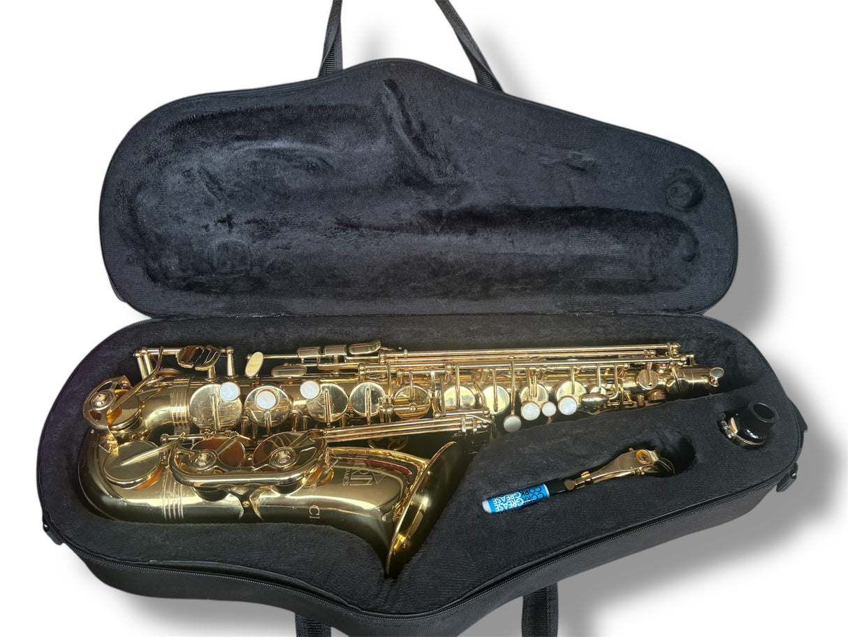Trevor James The Horn Classic II Alto Sax Outfit - Gold Lacquer