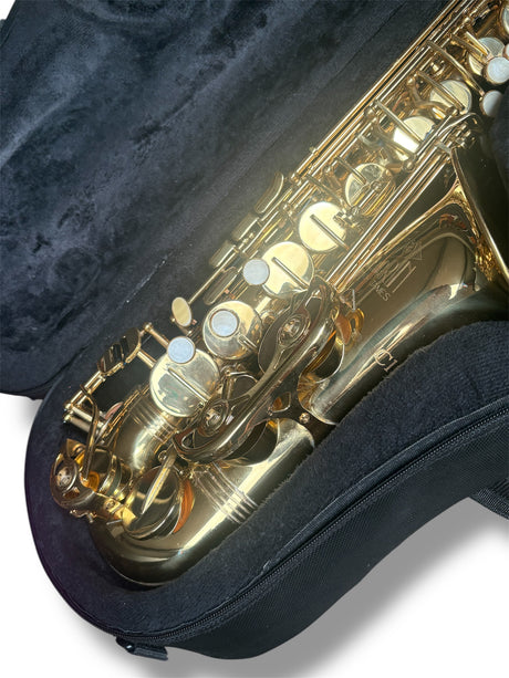 Trevor James The Horn Classic II Alto Sax Outfit - Gold Lacquer