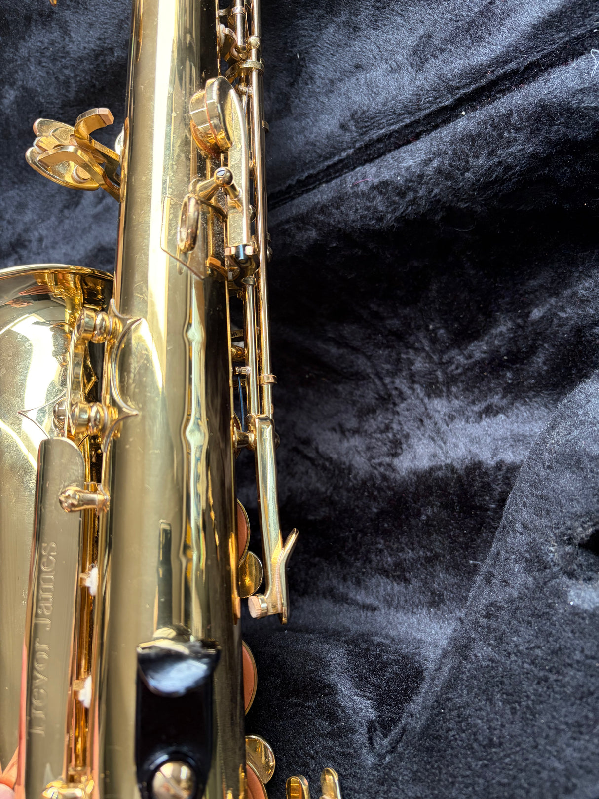 Trevor James Alphasax