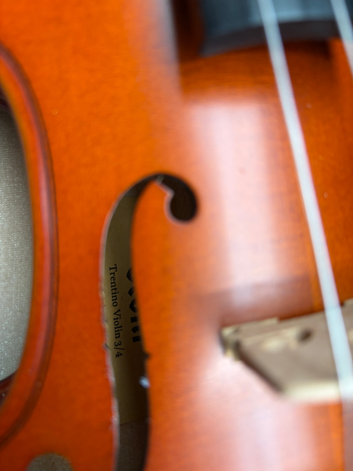 Stohr Trentino 3/4 Violin Outfit