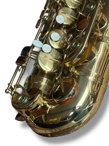 Slade Alto Saxophone Outfit