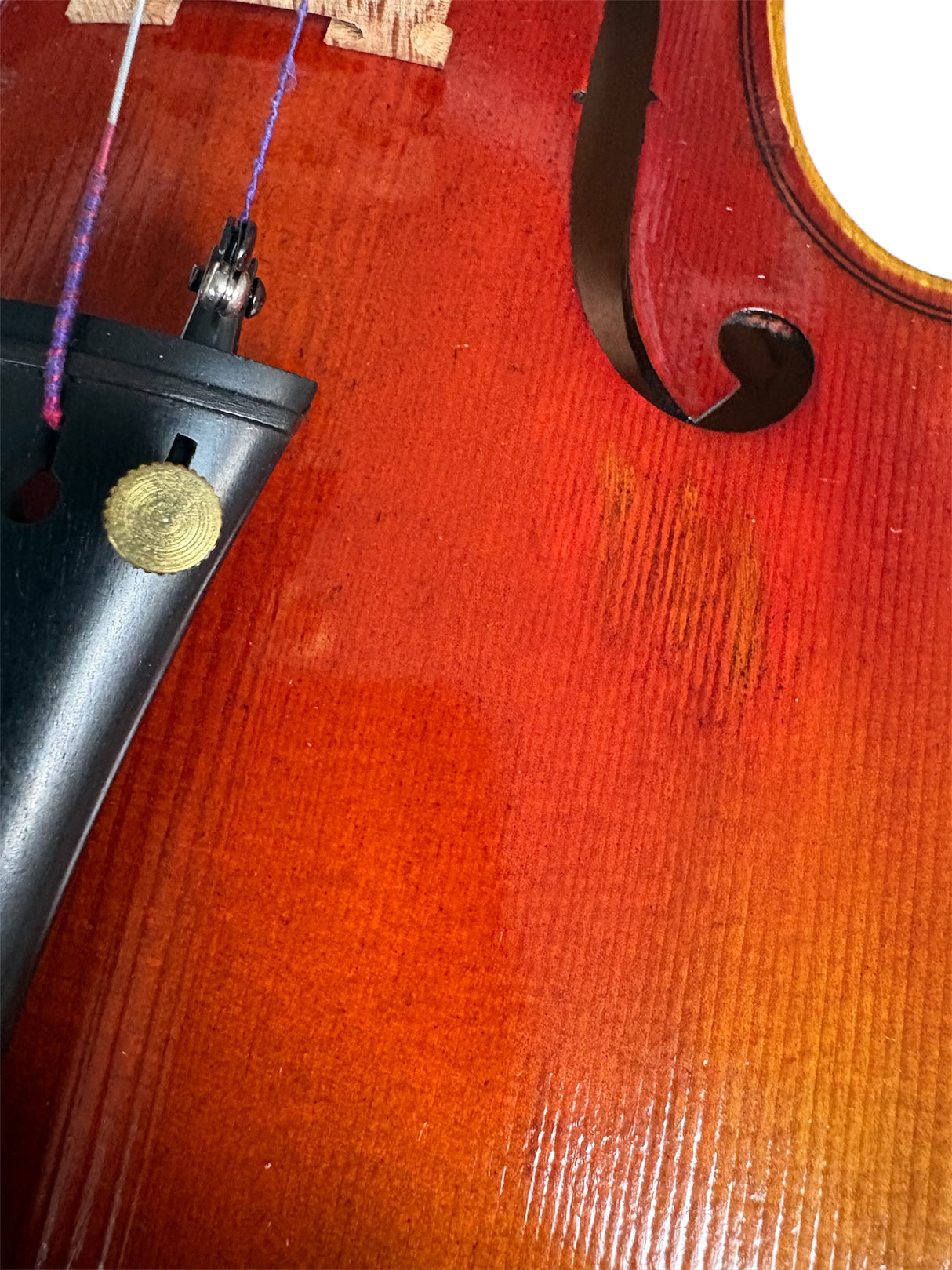 Hidersine Venezia Violin Outfit 4/4 B  Stock