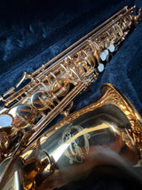 Artemis Alto Saxophone Outfit
