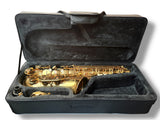 Artemis Alto Saxophone Outfit