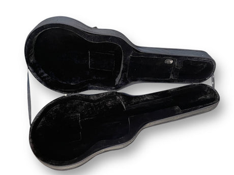 Semi-Acoustic  Hollowbody 335-Style Guitar Case