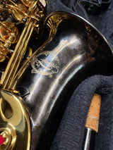 Artemis Alto Saxophone Outfit Black & Gold finish