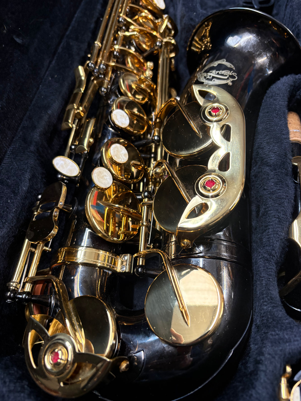 Artemis Alto Saxophone Outfit Black & Gold finish