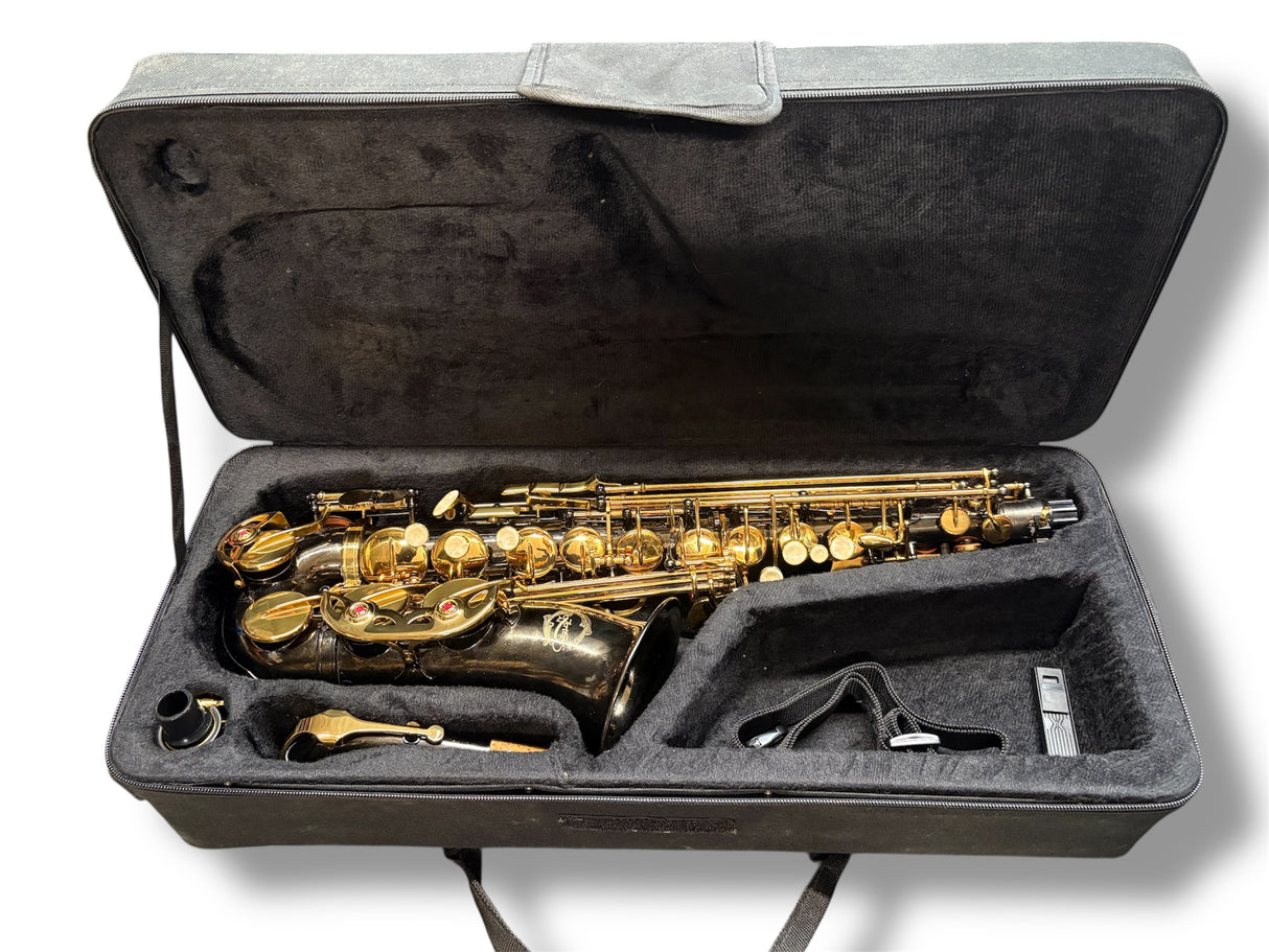 Artemis Alto Saxophone Outfit Black & Gold finish