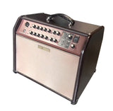 Boss Acoustic Singer Pro