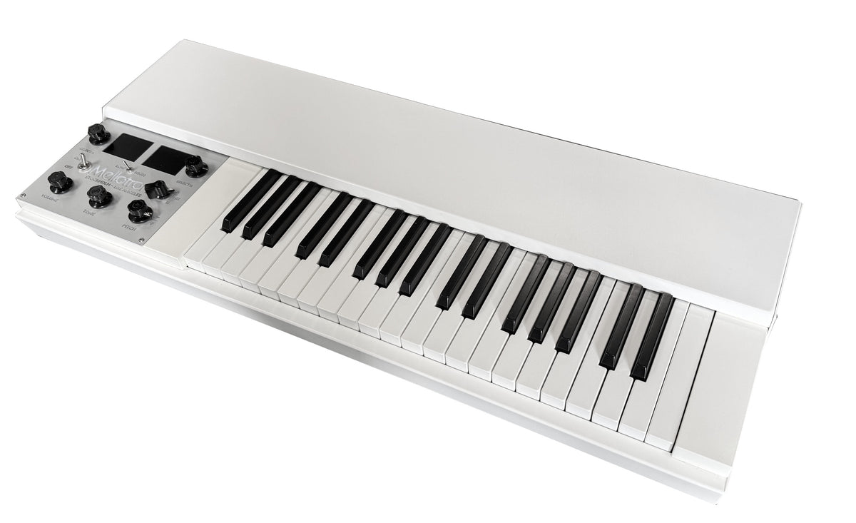 Mellotron M4000D Mini