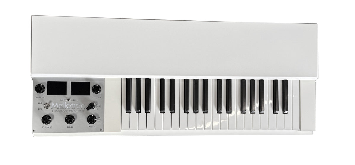 Mellotron M4000D Mini