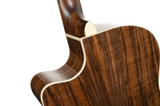 Cort Exotic-GA Walnut Grand Auditorium Sunburst
