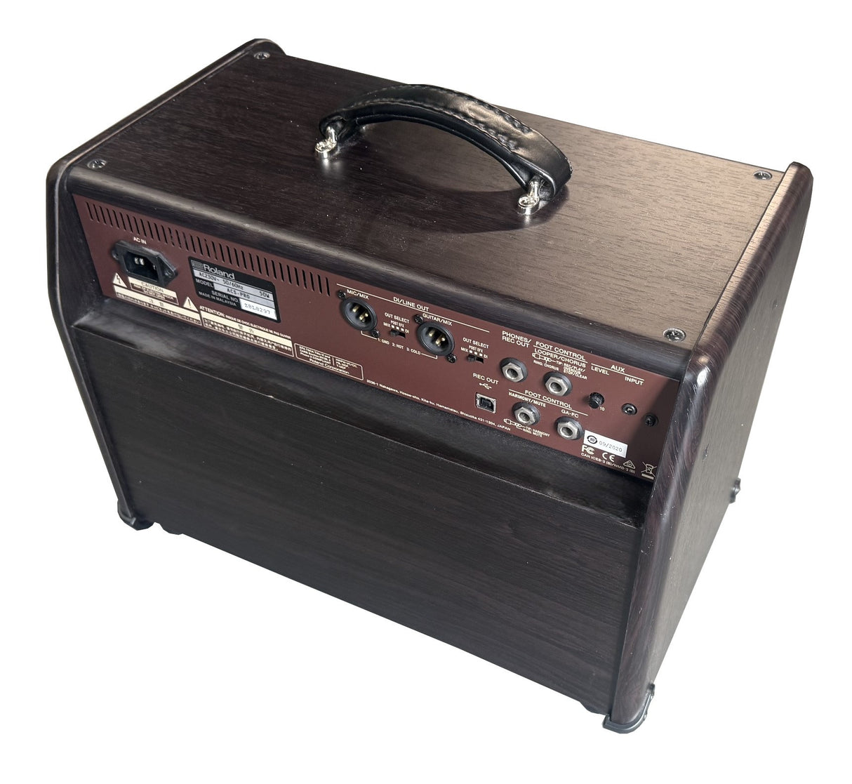 Boss Acoustic Singer Pro