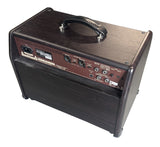 Boss Acoustic Singer Pro