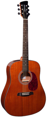 Brunswick BD200M Dreadnought Mahogany Gloss