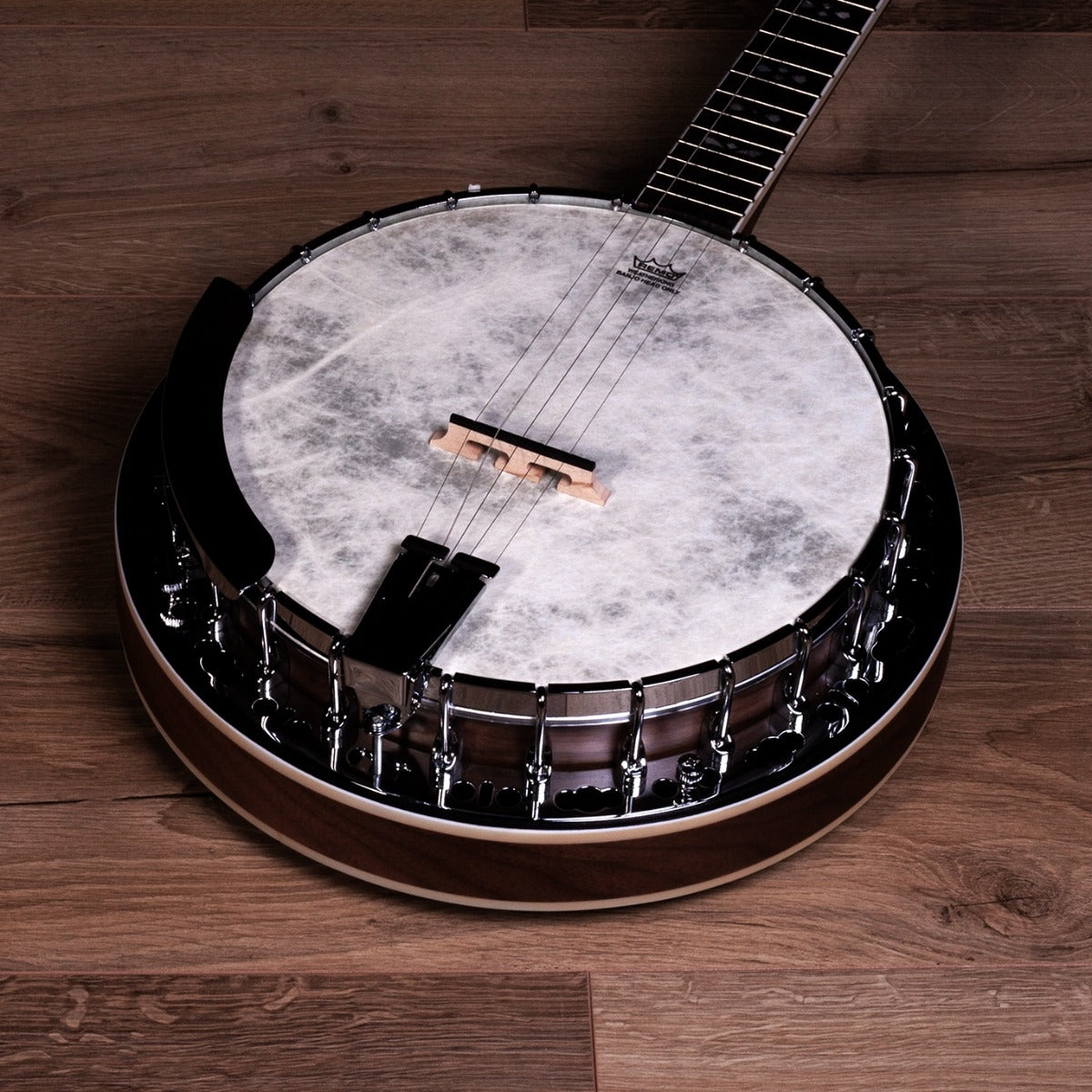 Barnes And Mullins Banjo 5 String Empress Model – Reidys Home Of Music