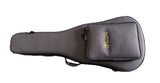 Martin Road Series D-12E Dreadnought Electro-Acoustic