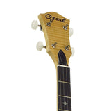 Ozark 5 string open back banjo 2109G
