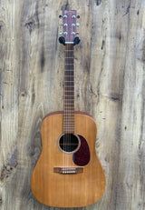 Martin DX1 Dreadnought 2006