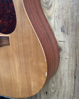 Martin DX1 Dreadnought 2006