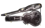 Epiphone Dreadnought Acoustic Hard Case