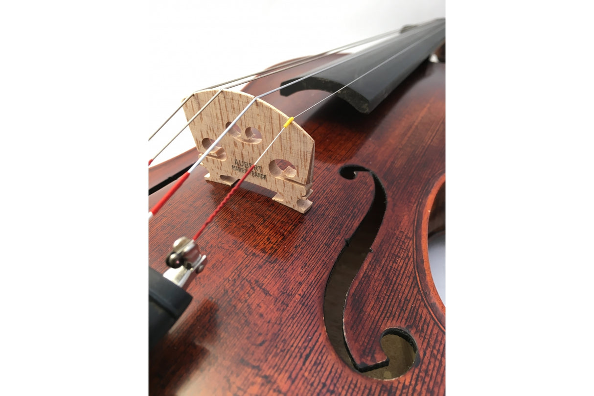 Stentor Violin Messina 3/4