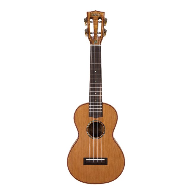 Mahalo Master Concert Ukulele All Solid Mahogany With Gig Bag