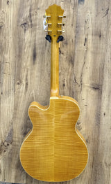 Farida FA17-FM Hollow Body Archtop with Bigsby - Flame Maple Top