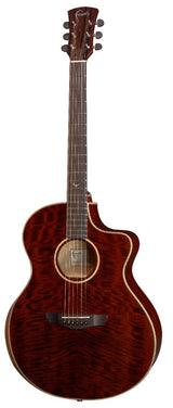Faith Neptune FX Dark Natural Gold Cutaway Electro-Acoustic 2026