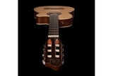 Godin Arena Mahogany Cutaway Clasica II