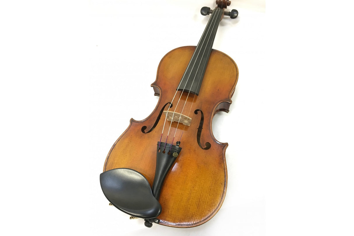Hidersine Venezia Violin Outfit 4/4 + Dominant Strings