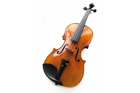 Hidersine Veracini Finetune Outfit 4/4 + Dominant Strings