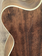 James Neligan Asyla Series ACY-ACE Auditorium