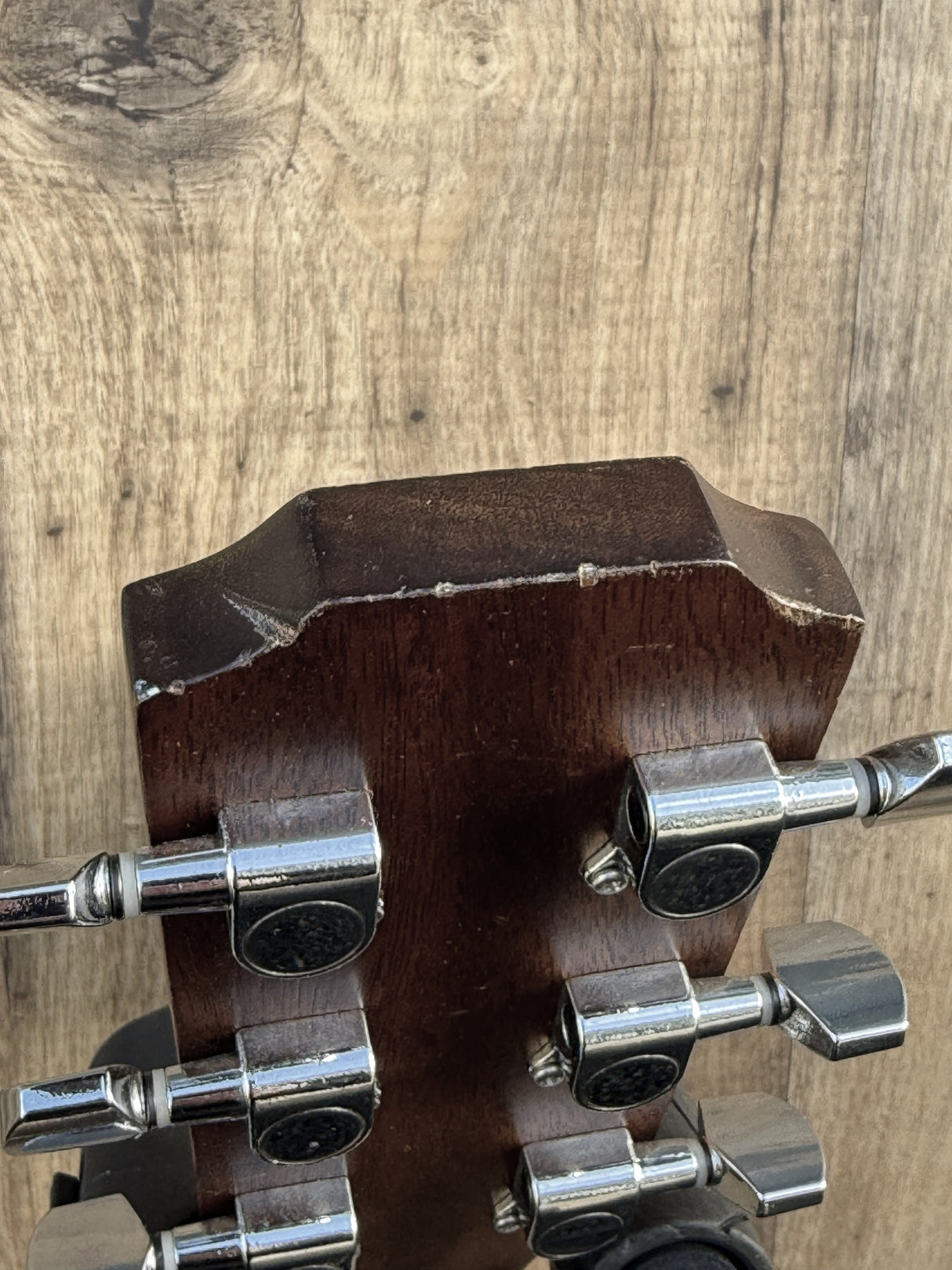 James Neligan Asyla Series ACY-ACE Auditorium