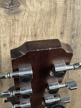 James Neligan Asyla Series ACY-ACE Auditorium